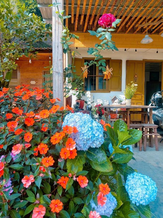 Soul Pnb Homestay Да Лат Екстериор снимка