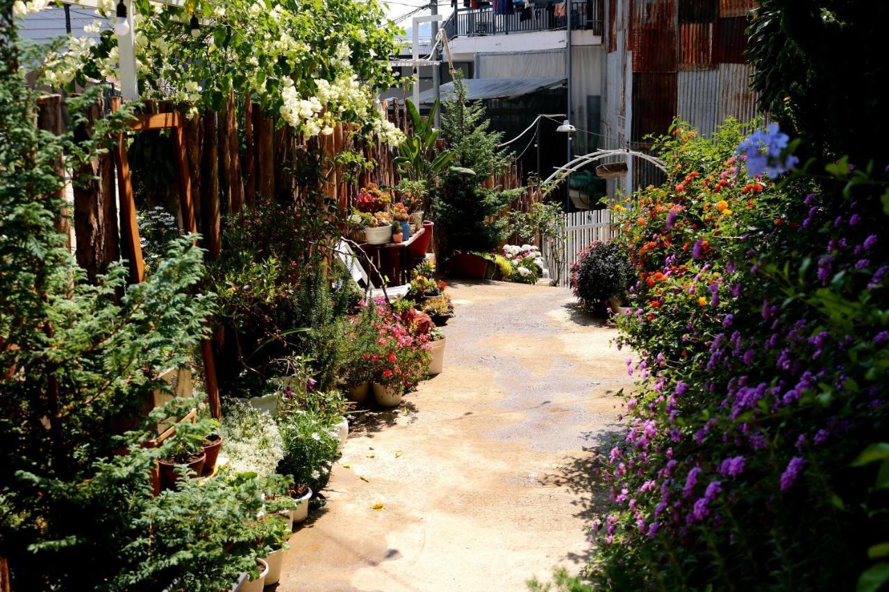 Soul Pnb Homestay Да Лат Екстериор снимка