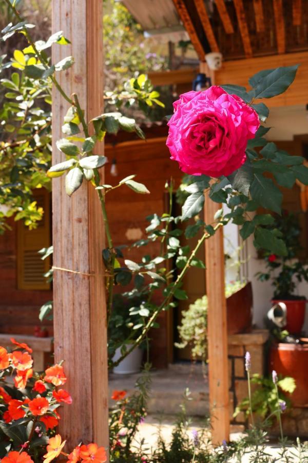 Soul Pnb Homestay Да Лат Екстериор снимка