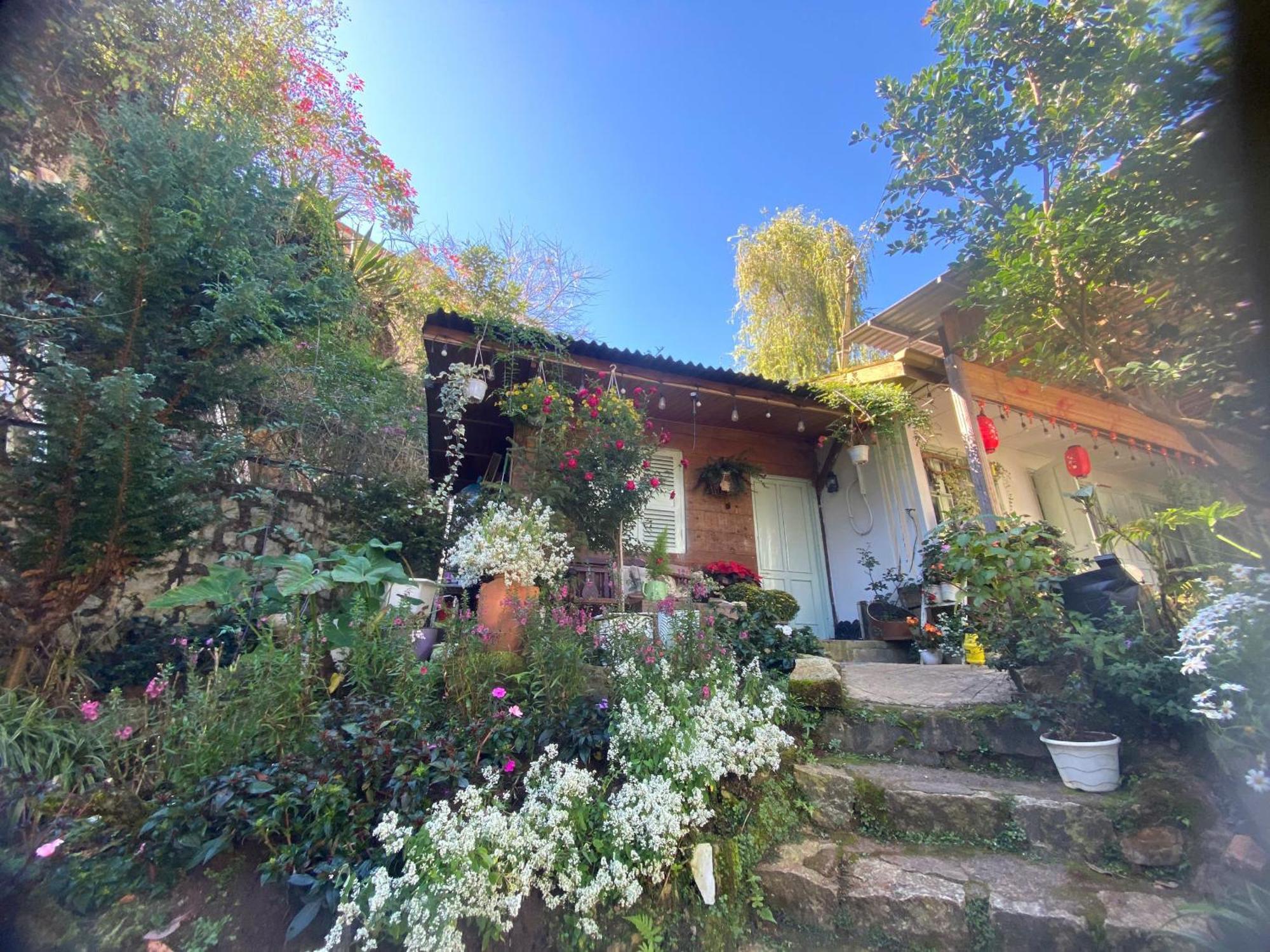 Soul Pnb Homestay Да Лат Екстериор снимка